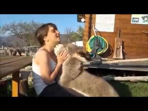 caballo sexo con mujer|Mujer follando con un burro .